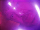 Dave in the Dreamtime - 11/27/08
