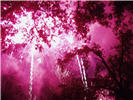 Fiery acclaim for BNR! - 07/23/06